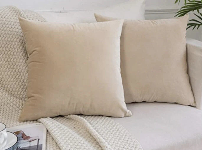 Decorative Velvet Throw Pillows Covers for Couch Bed Sofa,Pack of 2 Luxury Solid