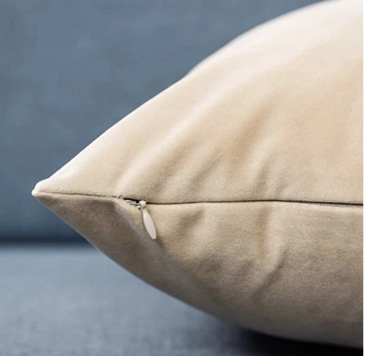 Decorative Velvet Throw Pillows Covers for Couch Bed Sofa,Pack of 2 Luxury Solid