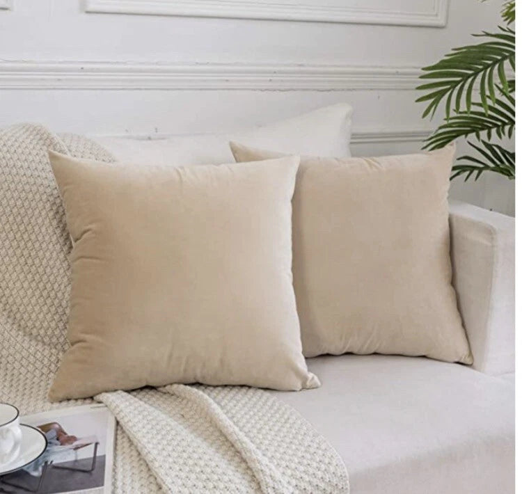 Decorative Velvet Throw Pillows Covers for Couch Bed Sofa,Pack of 2 Luxury Solid