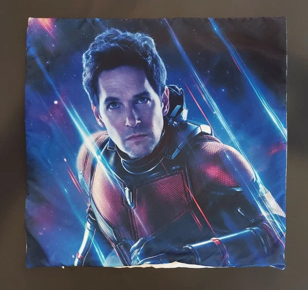 Avengers Antman 18 Inch Living Room Sofa Cushion Cover Pillowcase