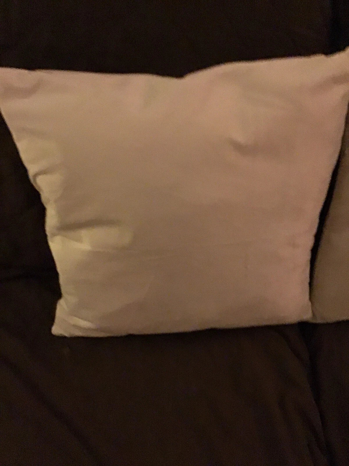 Throw Pillow Cover Set of 2 Sofa Velvet Cushion Cases 16 X 16 in Zipper Close