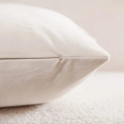 Couch Pillow Covers 16x16: 2 Pack Cozy Soft Velvet Square 16 x 16-Inch Cream