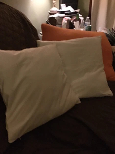 Throw Pillow Cover Set of 2 Sofa Velvet Cushion Cases 16 X 16 in Zipper Close