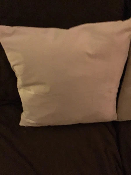 Throw Pillow Cover Set of 2 Sofa Velvet Cushion Cases 16 X 16 in Zipper Close