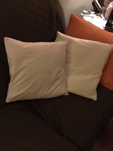 Throw Pillow Cover Set of 2 Sofa Velvet Cushion Cases 16 X 16 in Zipper Close